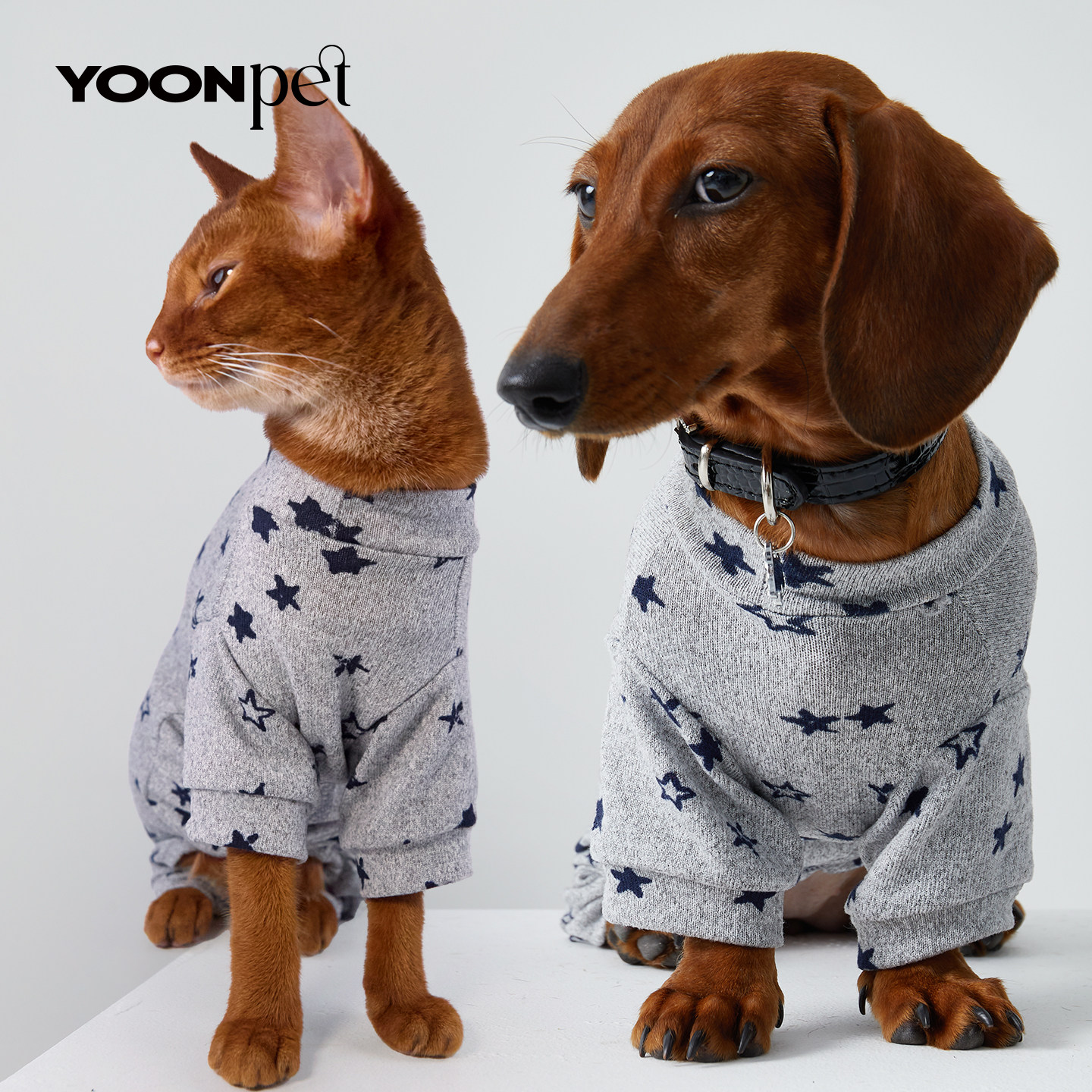 狗狗猫咪宠物衣服腊肠狗四脚衣
