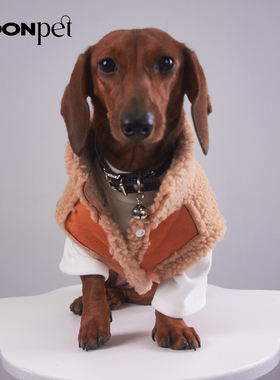 宠物猫咪衣服冬天小狗狗衣服秋冬背心2025新款加厚保暖麂皮绒外套