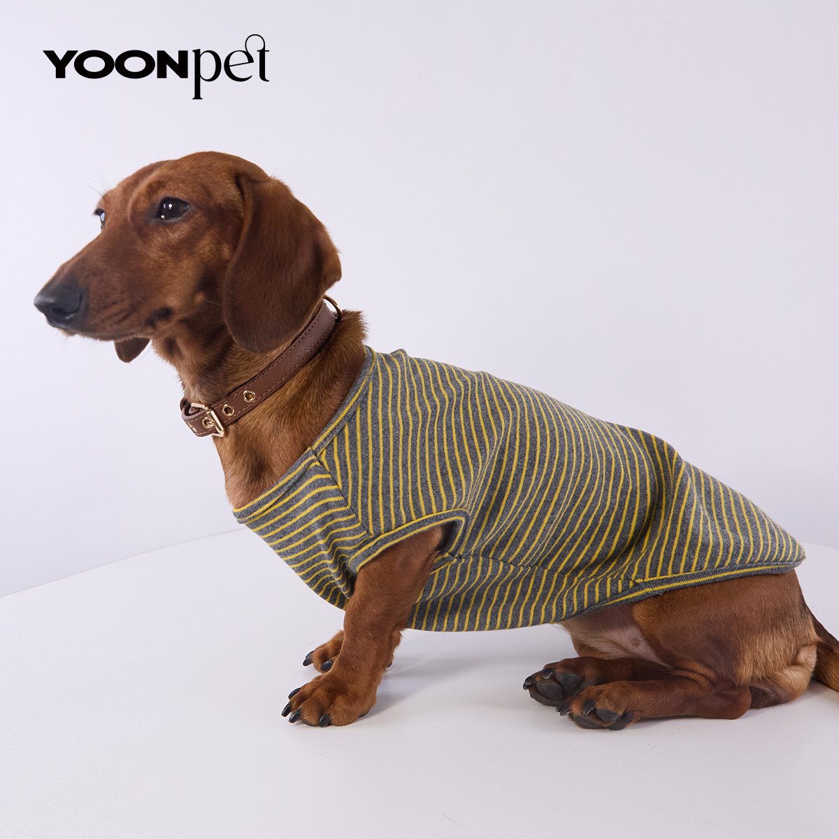 宠物春夏季衣服狗狗猫猫衣服潮流条纹背心腊肠迷你杜宾比熊博美