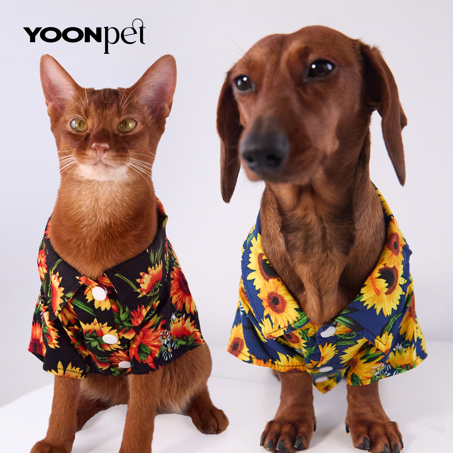 宠物狗猫春夏渡假印花衬衫腊肠