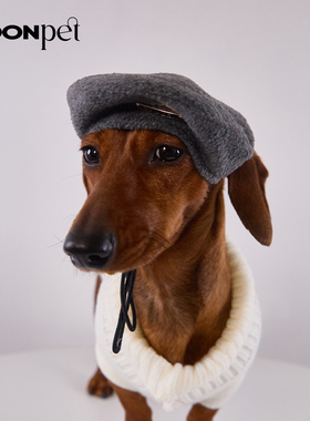 宠物狗狗配饰拍照凹造型宠物猫咪帽子秋冬款蓓蕾帽保暖