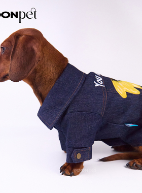 狗狗猫咪宠物衣服连帽牛仔衣服外套春秋泰迪腊肠迷你杜宾约克夏