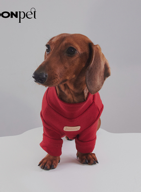 狗狗猫咪日韩撞色宠物打底衫小狗柯基法斗泰迪纯棉衣服