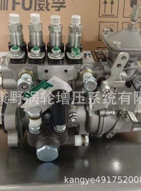 喷油泵4PM196 JS3HA11011和4PM1102 JS3HA110041和3974600 6A139