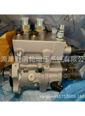 博世喷油泵0445020220 5801479266