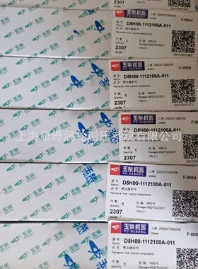适用玉柴的原装德尔福喷油器 D5H00 28559935和油泵28598032