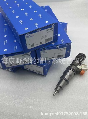 适用沃尔沃的喷油器20430583=BEBE4C00101和20440388=BEBE4C01101