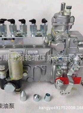 油泵3864328 101609-3741 101061-9990和101602-7423 101061-8460