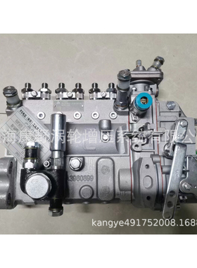 道依茨喷油泵1001620056 B6AD548G11-R和13033098 B6AD506A6机械