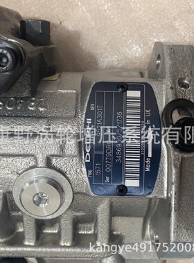 油泵9521A300T 9521A301T 3486930 T405573和8925A035G=8925A030G