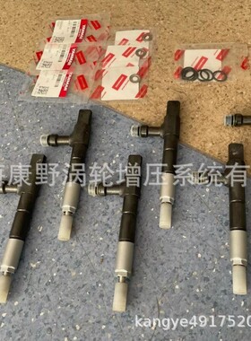 适用洋马6LY3-ETP的原装喷油器 119578-53701