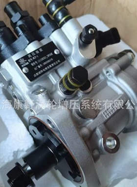 喷油泵WCP-1 1111000S1_CW705R和1111010S_V1055R-3和1111300KAE