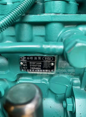 喷油泵 51D2 13054650和13073209 51L2和B4PN540B3E 1000950899