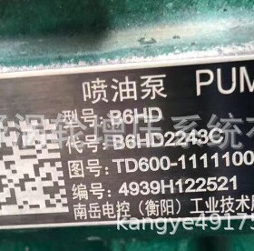 喷油泵B6HD2243C TD600和TD300 B6HD2243B和B6HD2230A6 C6A00