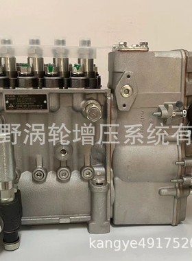 原装喷油泵1002574 B6P460B和B6P462B和 B4PN411F1E 和 B6HD1845