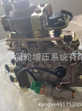 喷油泵 VE4/11F1900L004 001060004和 11E1100R492 1001200551