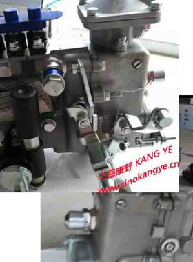 喷油泵 4PL242A F3100和汇尔4BQ1100BG和汇尔4BQ1223Y 1VD3A0-