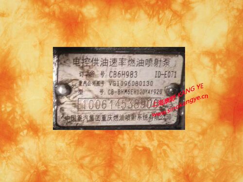 适用重汽喷油泵重油原装正品