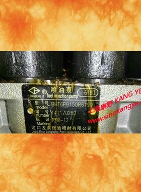 喷油泵 6190 BHT6P9150R6190 6194 和 BHT6P9150L6106 6110