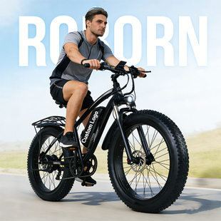 Mountain Snow Electric 自行车锂电池越野 Bike电动助力山地式