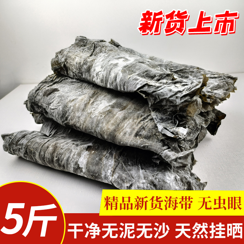霞浦海带精品新货海带