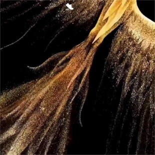 华为matex6凤凰展翼主题凤凰动态主题x6x5主题飞一下停止不是循环