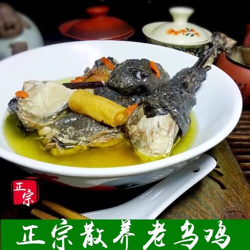 土乌鸡散养正宗土鸡白羽乌鸡