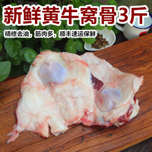 带肉牛膝盖骨牛窝骨现杀新鲜