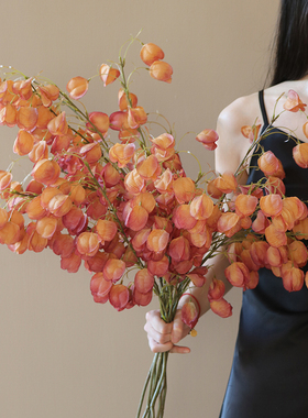 逼真干花栾树灯笼果假花仿真花摆设装饰高档轻奢仿生花束花艺摆件