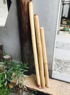 德瑞乐器Terre竹制专业级迪吉里杜管didgeridoo准调进口分调