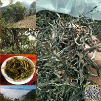 云南大葉種老樹(shù)普洱曬青毛茶原料