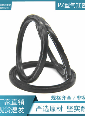 PZ型气缸活塞孔用密封圈  100*85*5.6