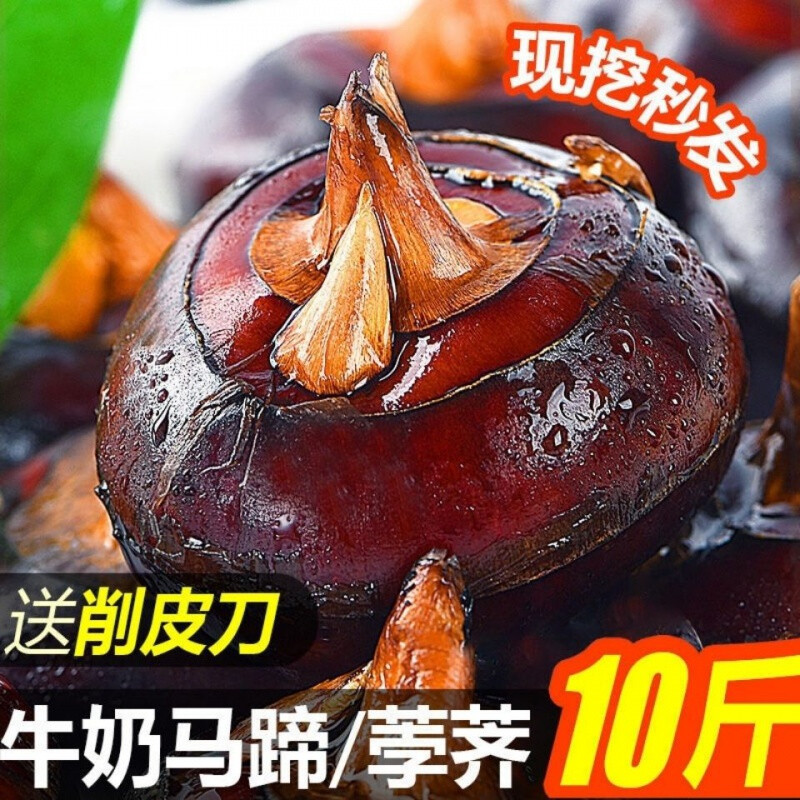马蹄新鲜蔬菜马蹄荸荠