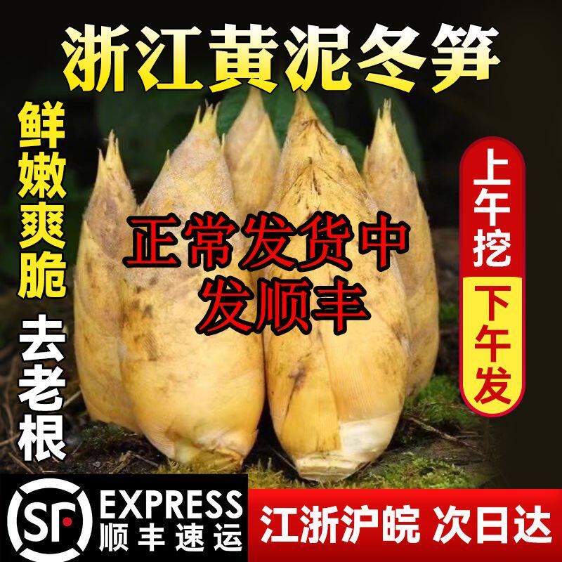 浙江冬笋新鲜现挖鲜竹笋正宗野生春笋临安衢州东笋商用去老根当季