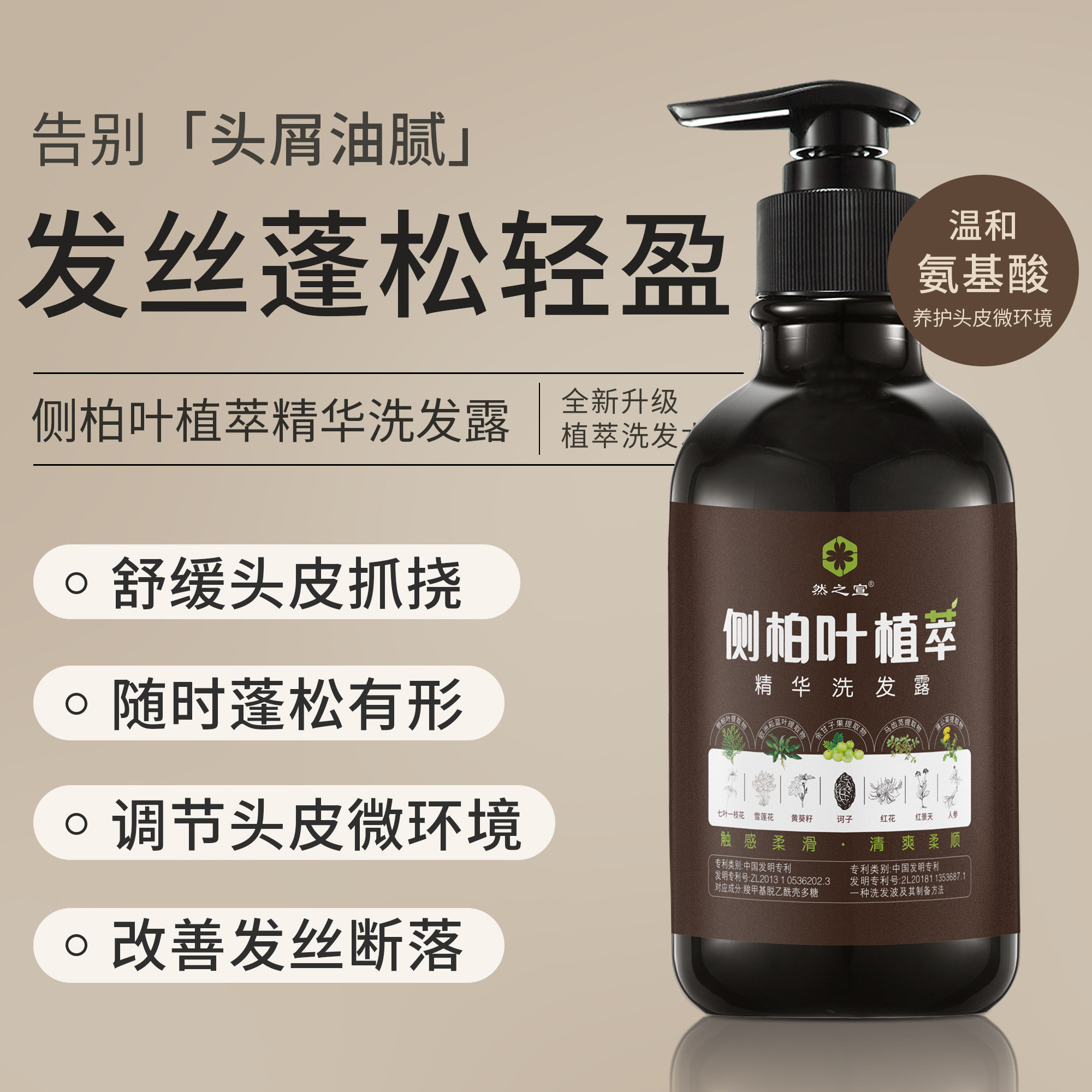 侧柏叶植萃防护纯氨基酸洗发水天然草本植物改善掉发头痒去屑蓬松