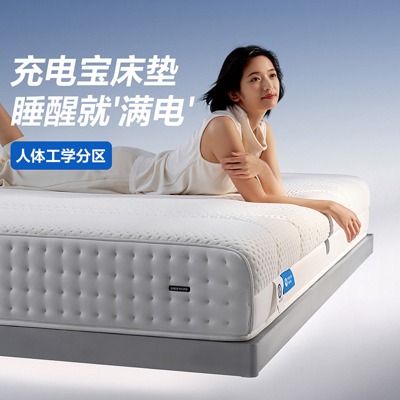 林氏家居人体工学五分区弹簧床垫图片