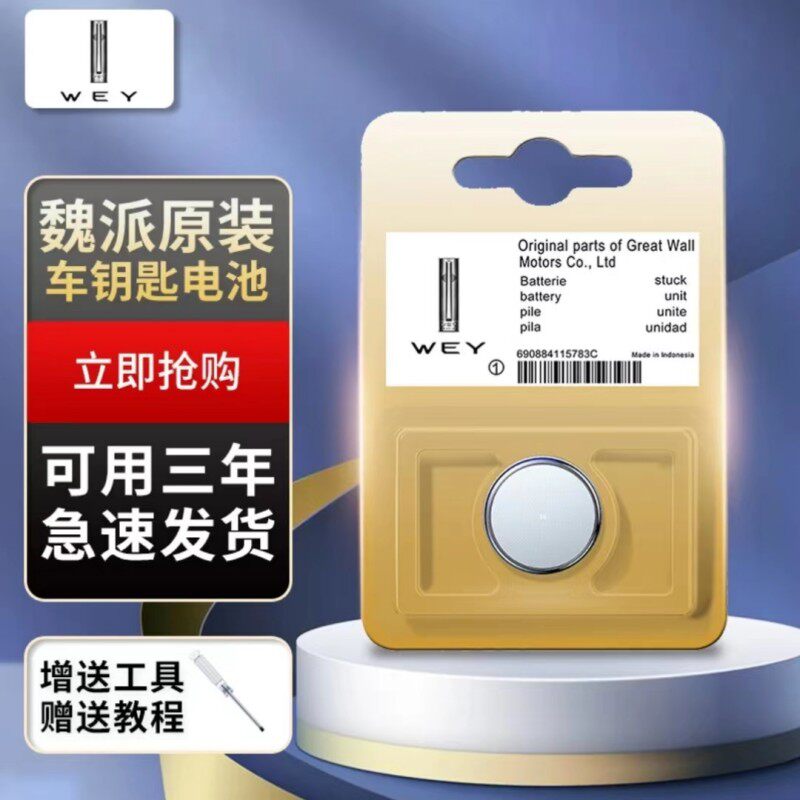 长城魏派原装wey vv5 vv6 vv7 p8 w7c/9汽车钥匙遥控器电池电子