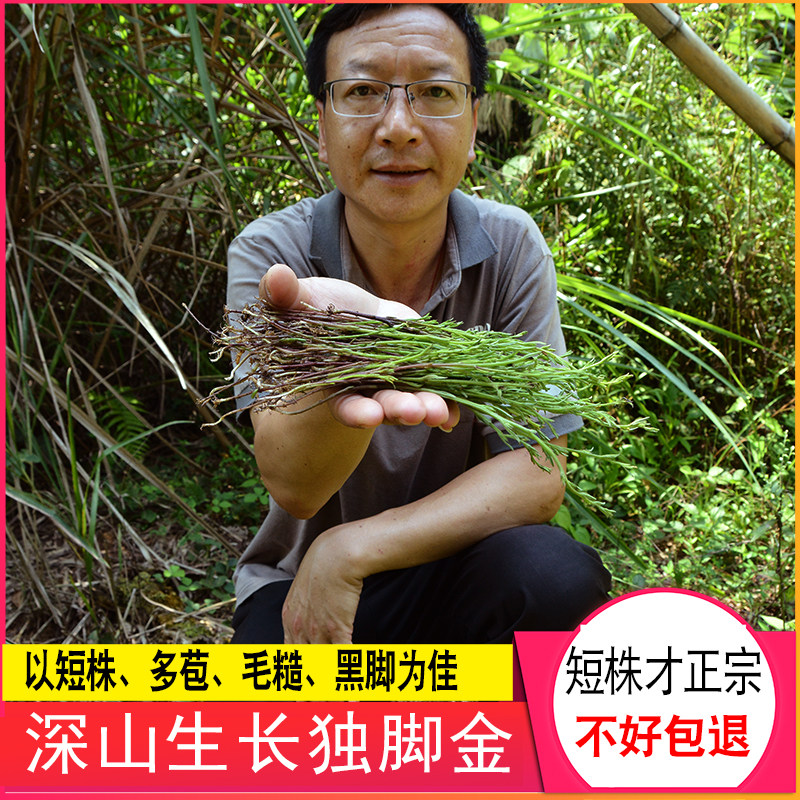 独脚金50g深山疳积草矮脚子宝宝儿童煲汤料营养汤料药材正宗干草,传统滋补营养品,其他药食同源食品,淘宝优惠券,粉丝福利购,淘宝优惠卷