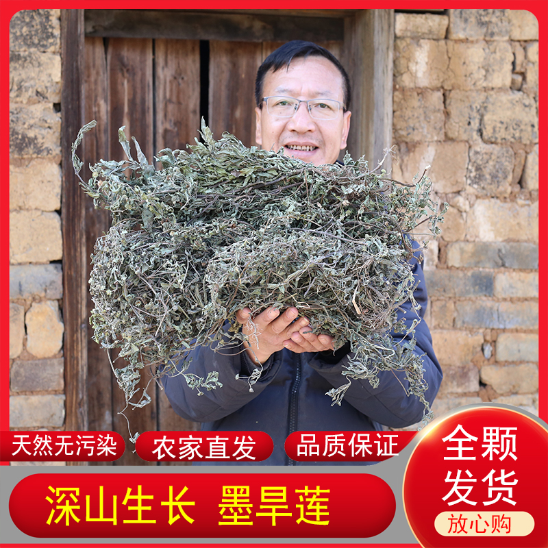 深山墨旱莲正品药材农家自晒整棵