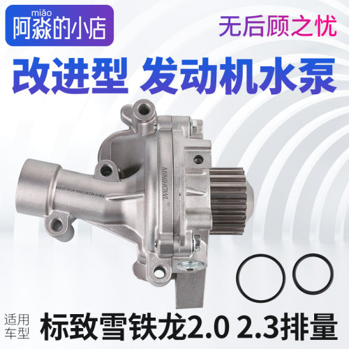 标志雪铁龙2.0水泵总成3