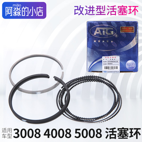 300840085008活塞环改进型