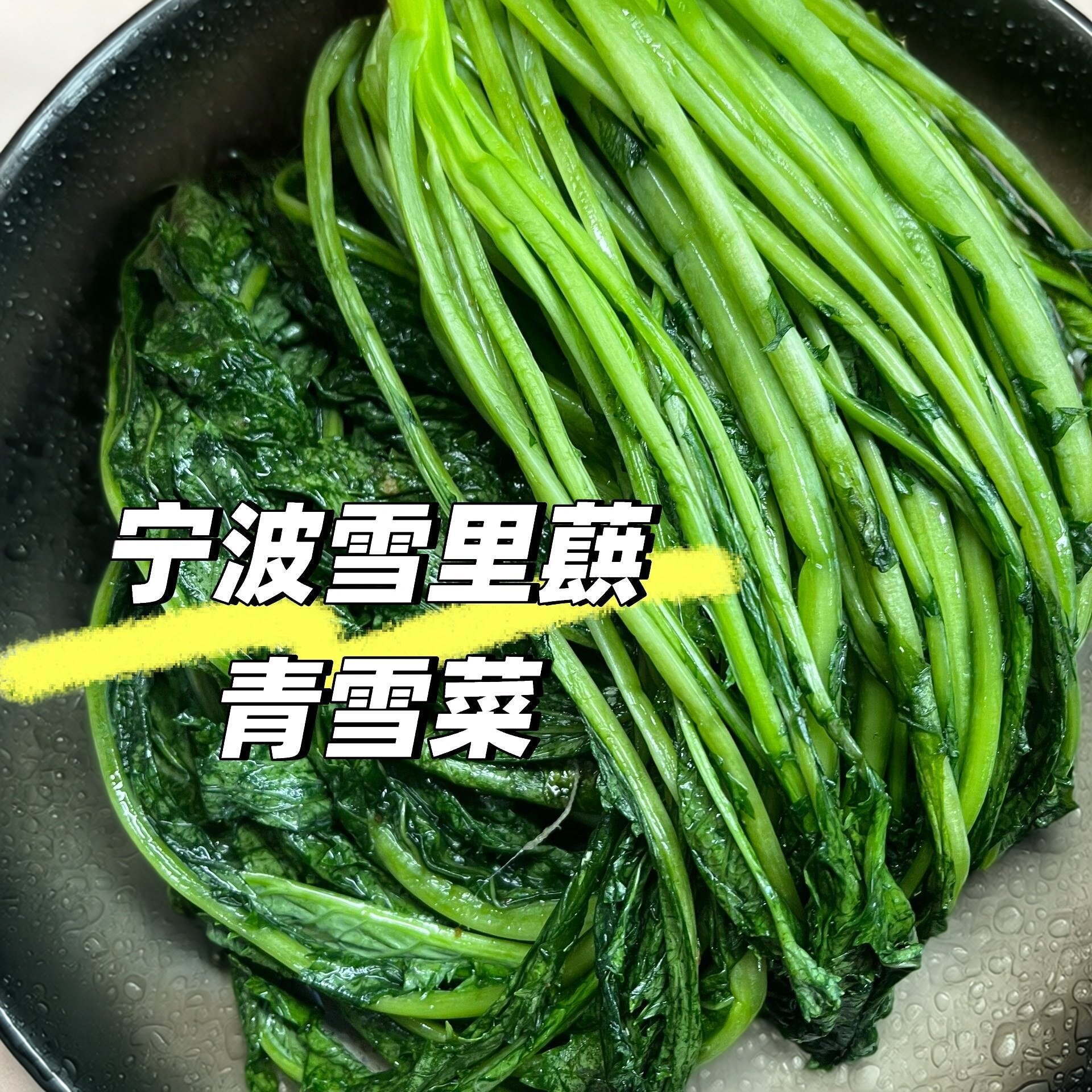 正宗宁波青雪菜农家自制新鲜绿色雪里蕻传统腌制咸菜爽口下饭商用,水产肉类/新鲜蔬果/熟食,腌制/榨菜/泡菜,淘宝优惠券,粉丝福利购,淘宝优惠卷