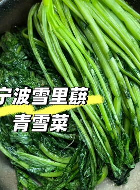 宁波特产青雪菜咸菜绿色雪里蕻传统手工腌制新鲜蔬菜爽口下饭商用