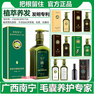 正品把根留住头皮护理黑头公洗发液侧柏叶洗头乳茶籽洗发水露毛囊