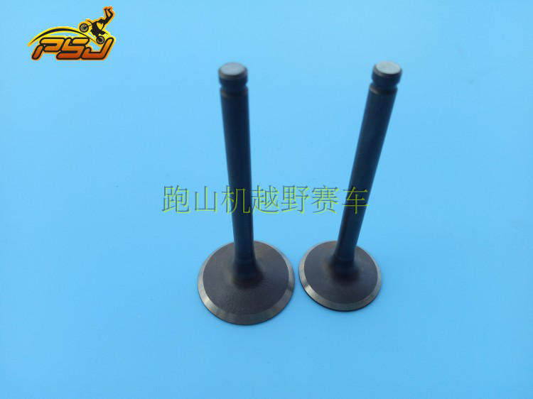 波速尔m3歼3d激情版m1北海卒玛贵尊极盗者-3战狼cb250f大头机气门