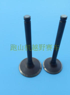 波速尔M3歼3D激情版M1北海卒玛贵尊极盗者-3战狼CB250F大头机气门