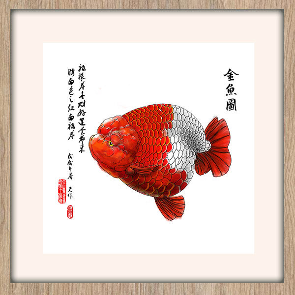 金鱼艺术绘画作品装饰画  (中国兰寿网天山雪总版主出品)