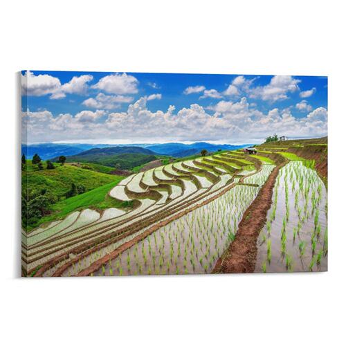 清迈梯田湄占县稻田泰国茵他侬山房间背景墙帆布无框画装饰挂画