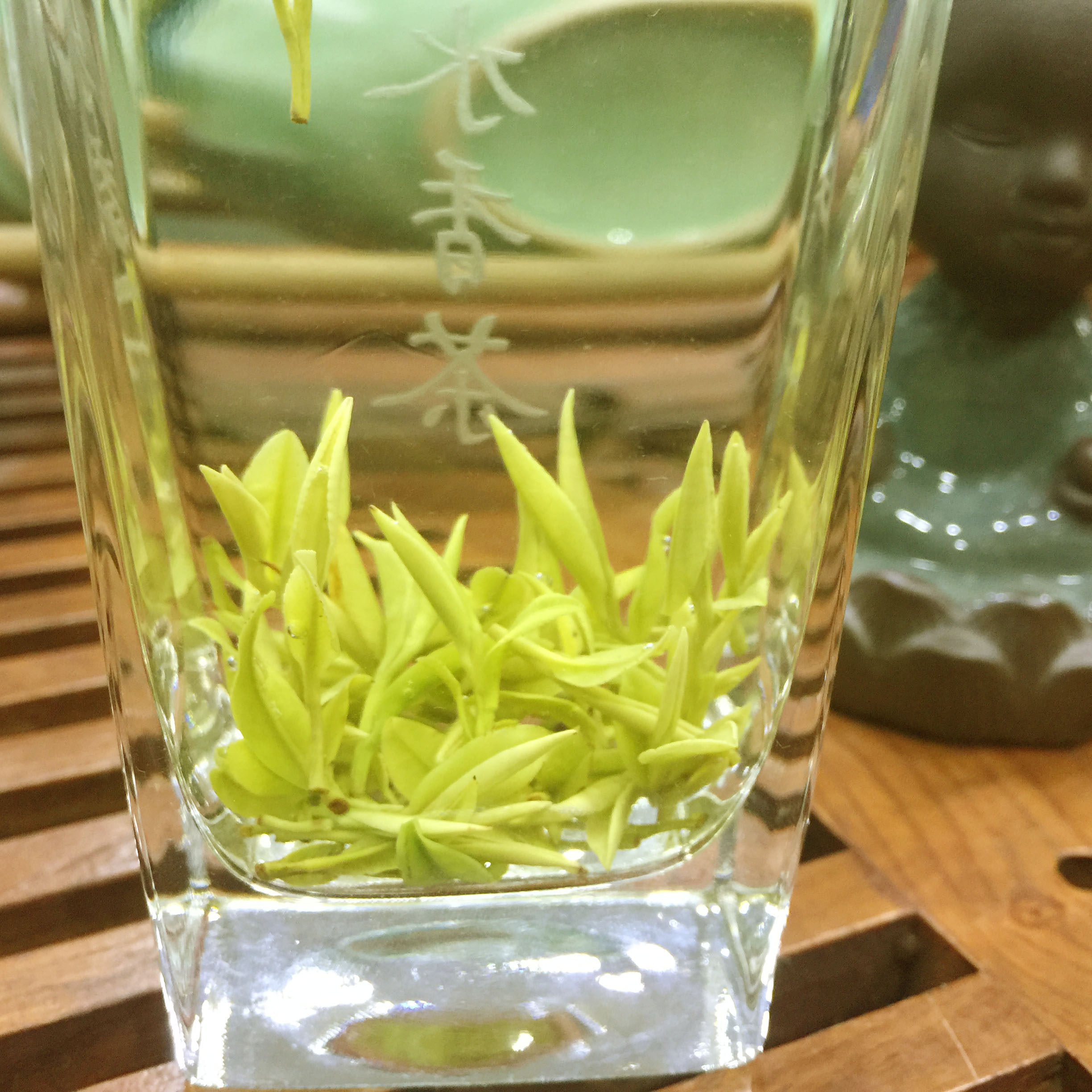 2023新茶雨巷 金奖惠明茶 浙江景宁 高山白茶 白玉仙茶 绿茶 鲜香