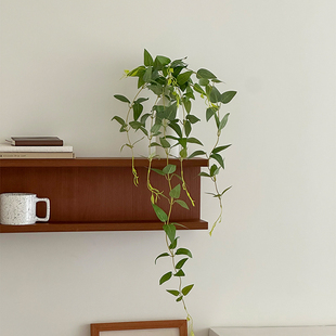 高档仿生绿植垂吊假植物绿叶仿真花假花摆设花瓶室内客厅装饰摆件